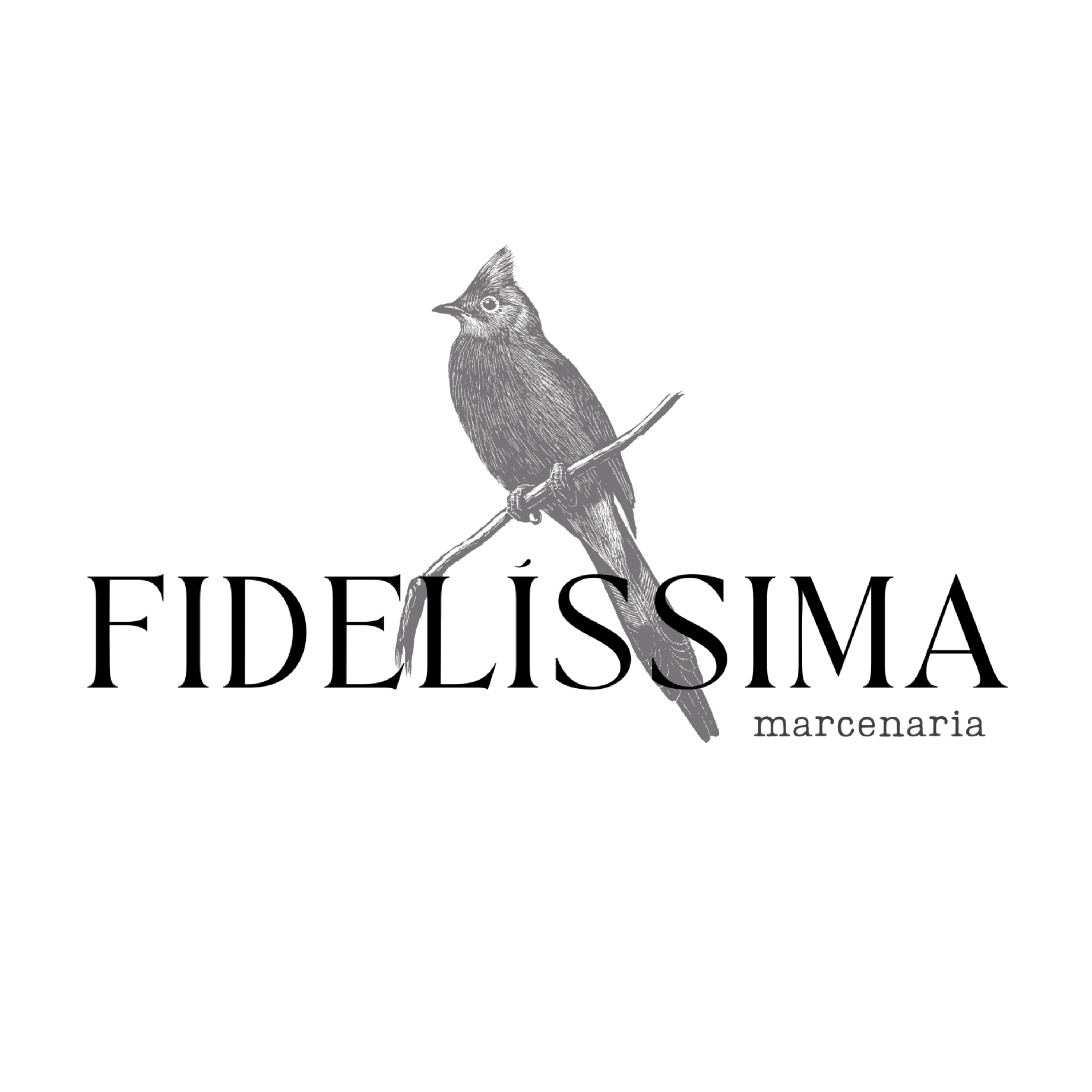 Fidelíssima Marcenaria